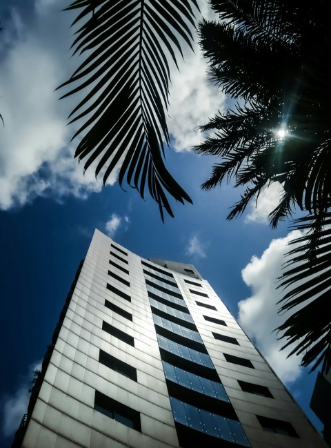 a tall building with palm trees in front of it eL