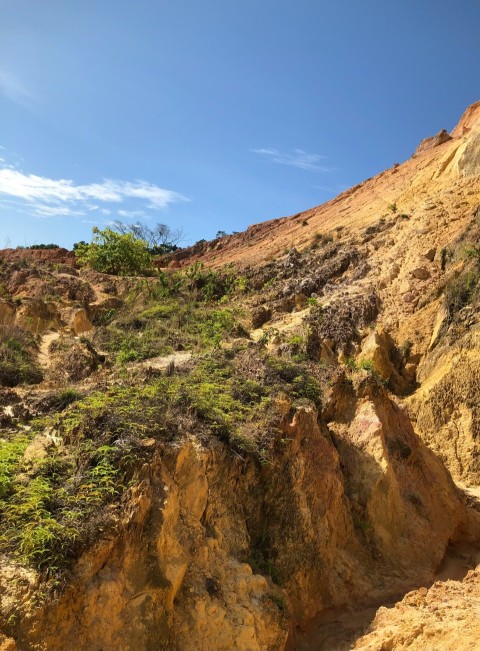 a rocky hillside with green plants growing on it