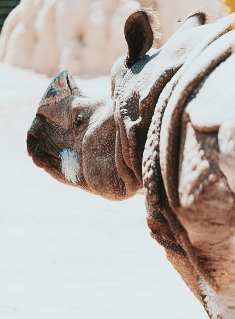 brown and white animal statue