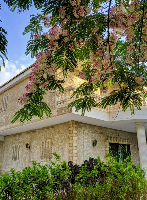 brown concrete building with green and brown trees