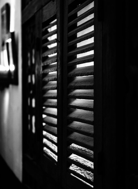 a black and white photo of a window with wooden blinds