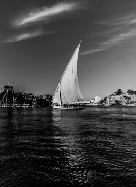 a black and white photo of a sailboat on the water