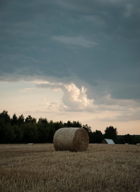 a large hay bale in a field with trees in the background