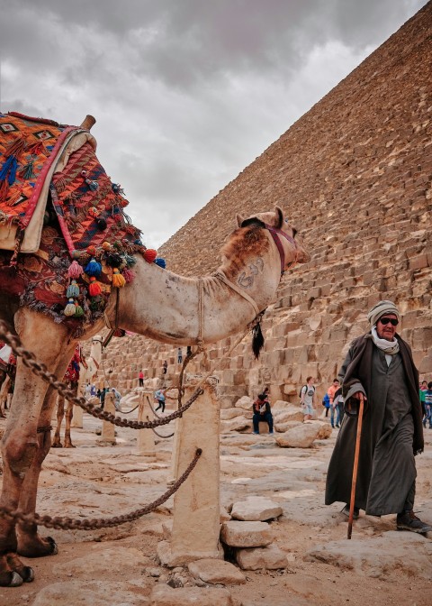 man standing beside brown camel