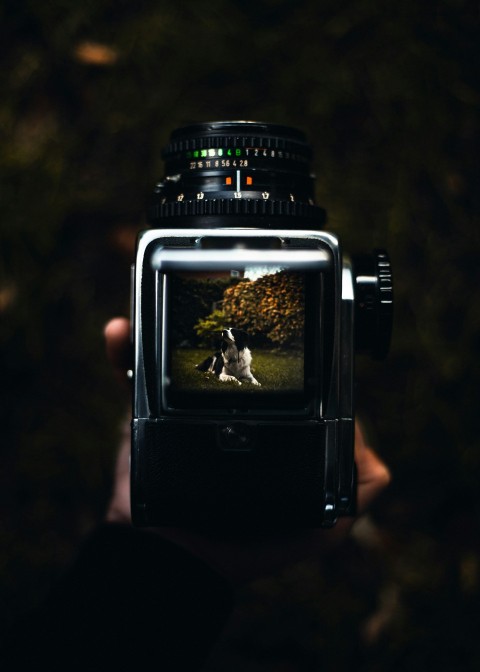 person holding black and gray land camera