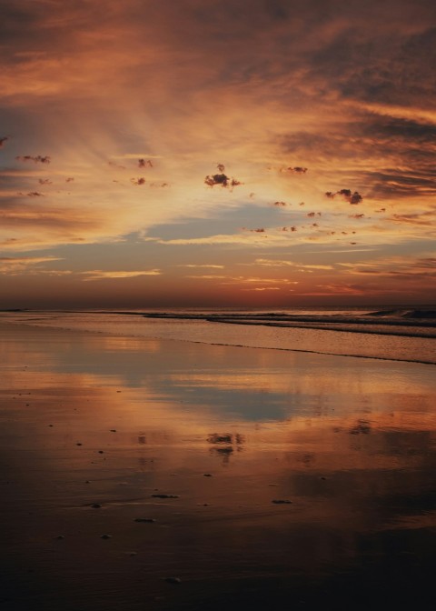 birds flying over the sea during sunset