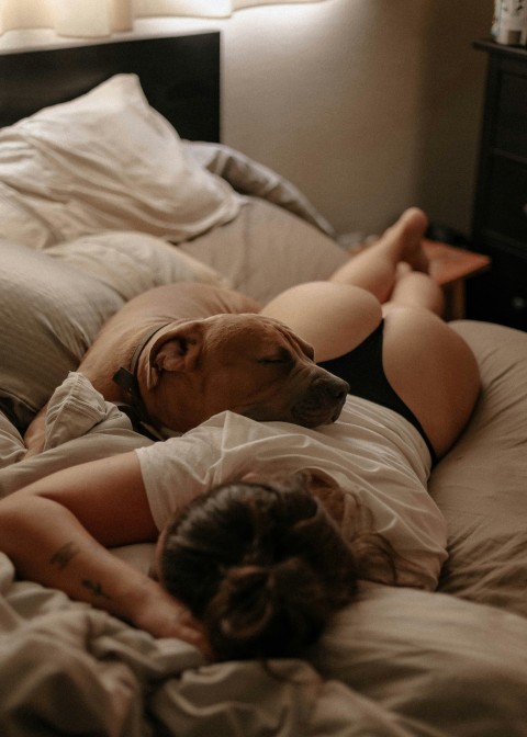 woman in white shirt lying on bed beside brown short coated dog