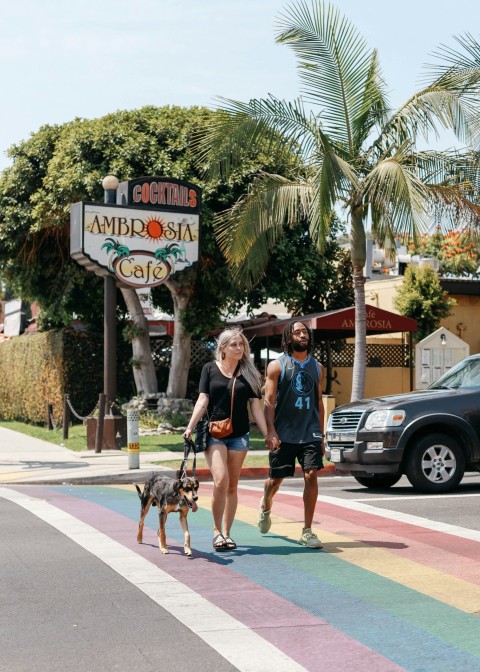 man and woman walking on sidewalk with dog during daytime BRaWu7m