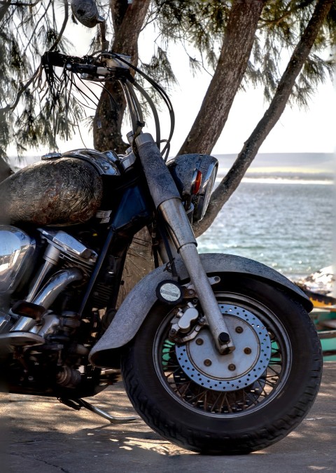 a motorcycle parked next to a tree near a body of water