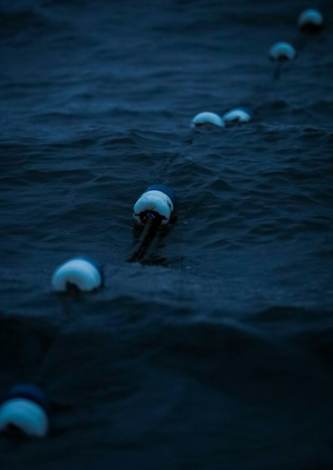 a group of balls floating on top of a body of water q