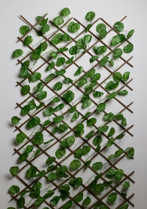 green leafed leaves on white wall