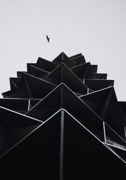 a black and white photo of a bird flying over a building