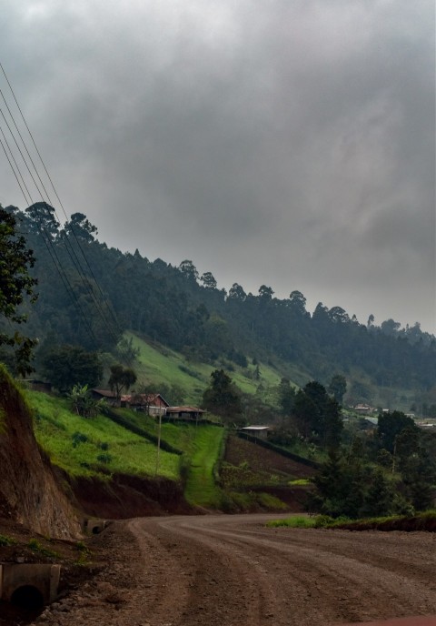 a dirt road going up a hill