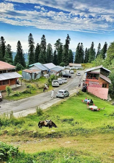 a group of people standing on top of a lush green hillside