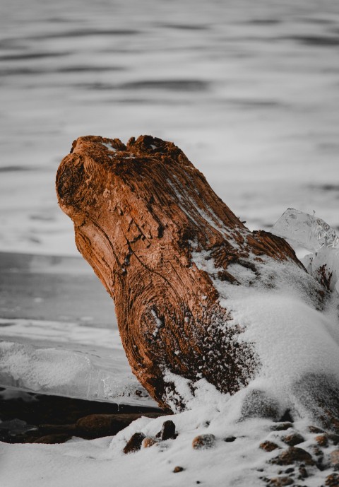 brown rock formation on snow covered ground during daytime  _s