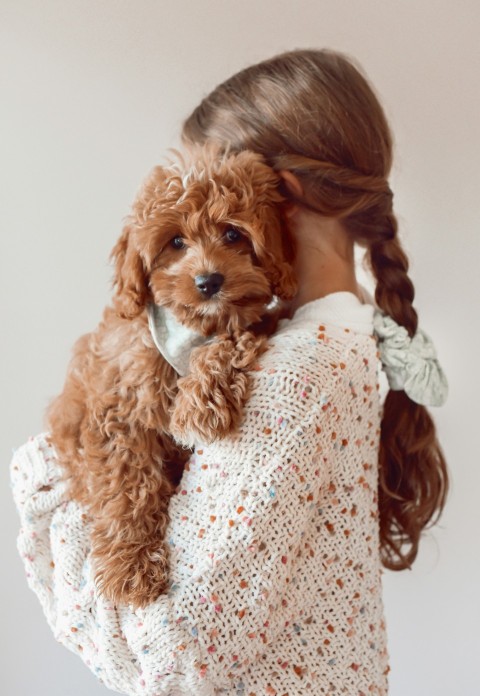 a little girl holding a brown dog in her arms iKw