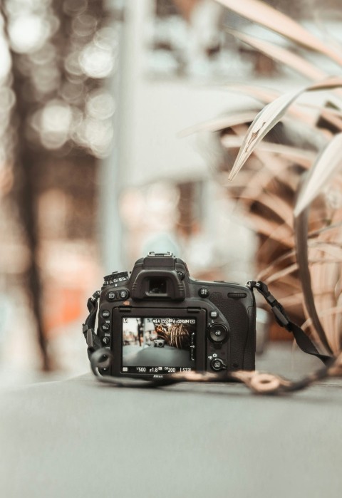 selective focus photography of dslr camera