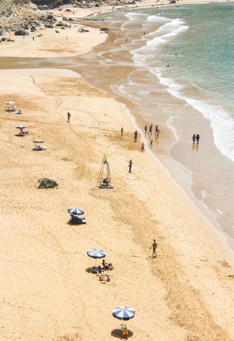 people on seashore during daytime