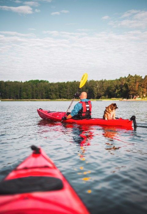 man riding kayak with dog near forest