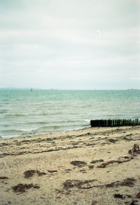 a bench sitting on top of a sandy beach next to the ocean