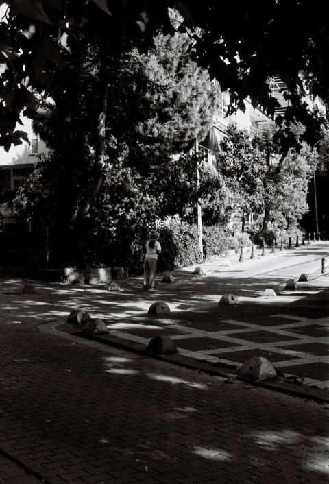 a black and white photo of a park with trees