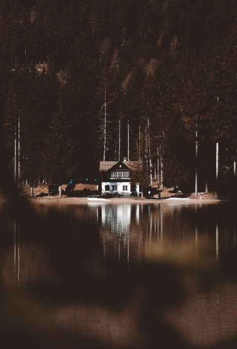 photo of house near body of water