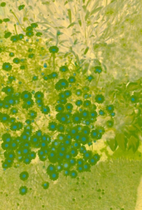 a painting of blue flowers on a yellow background