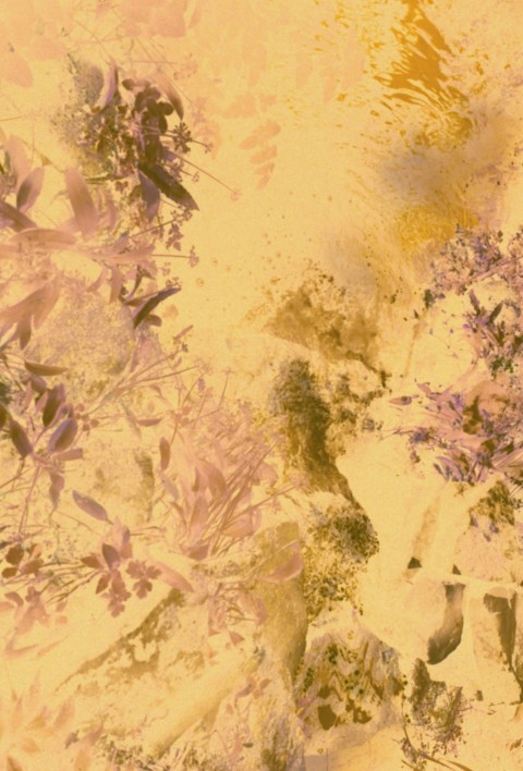 a painting of flowers on a yellow background