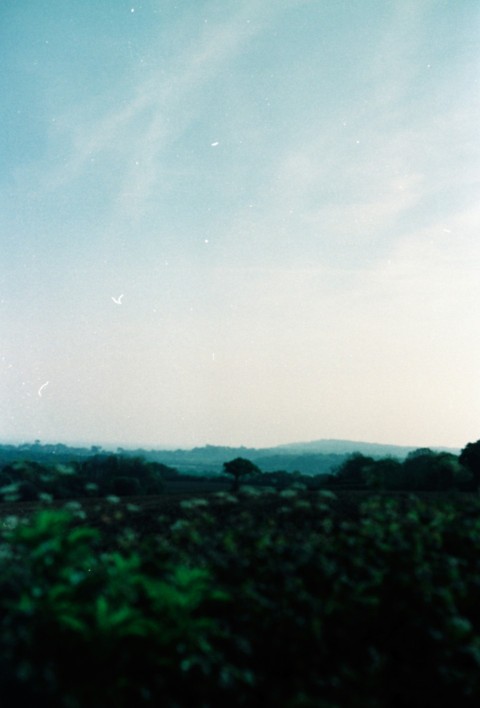 a view of a grassy field with trees in the distance