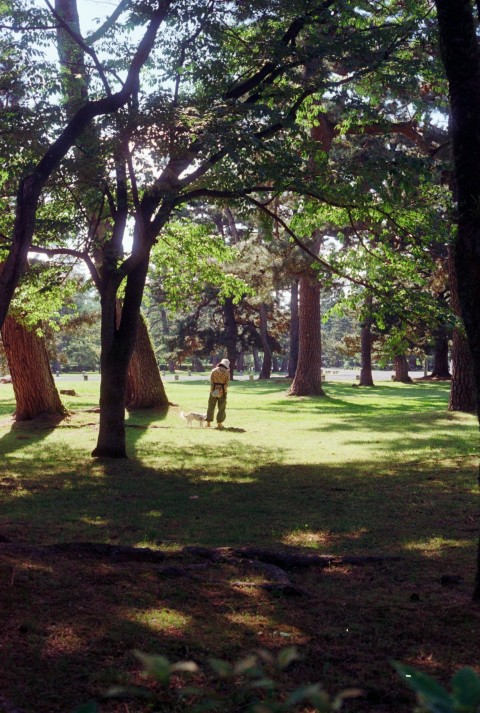 a person standing in a field surrounded by trees