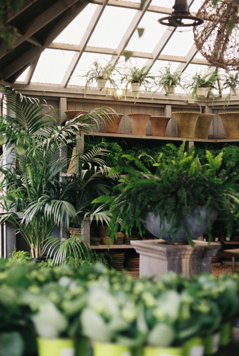 a greenhouse filled with lots of green plants