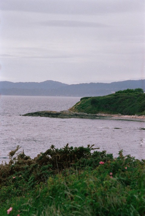 a small island in the middle of a body of water