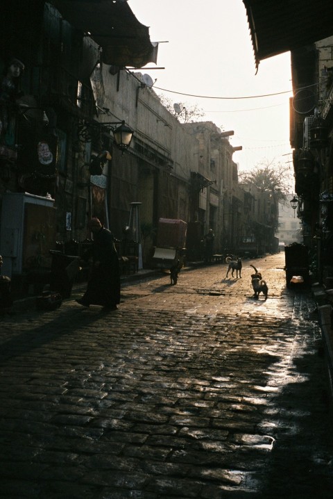 people walking on street during daytime