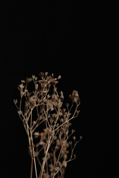 a vase filled with flowers on top of a table so3bfyBF