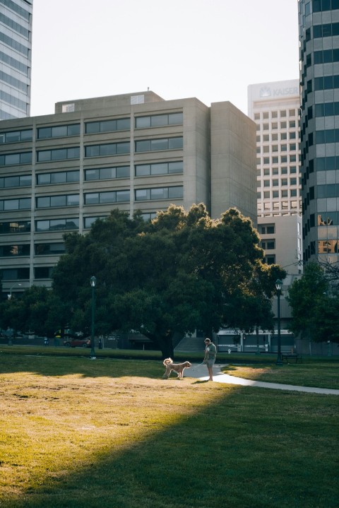 a man walking a dog in a city park