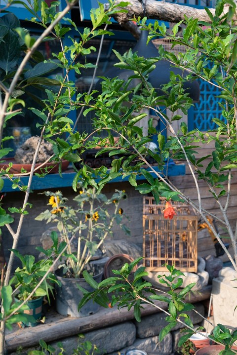 a bird cage sitting on top of a stone wall