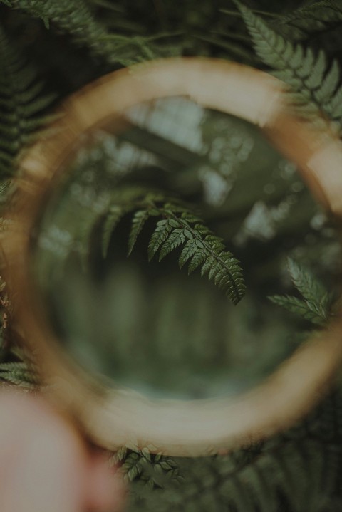 a person holding a green object