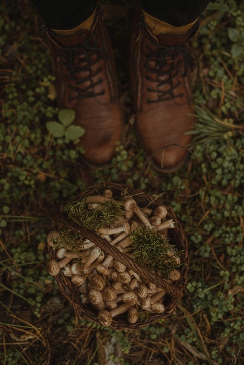 a persons feet in boots with pine cones on them