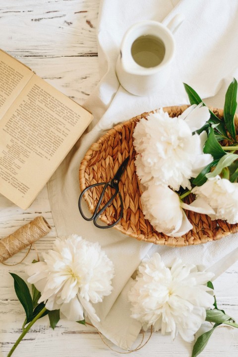 white petaled flowers with book and pitcher