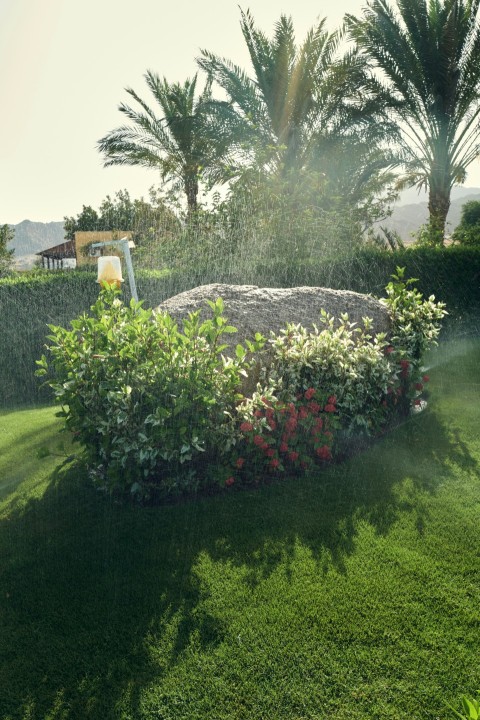 a garden with a rock wall