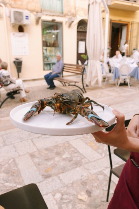 a person holding a plate with a crab on it