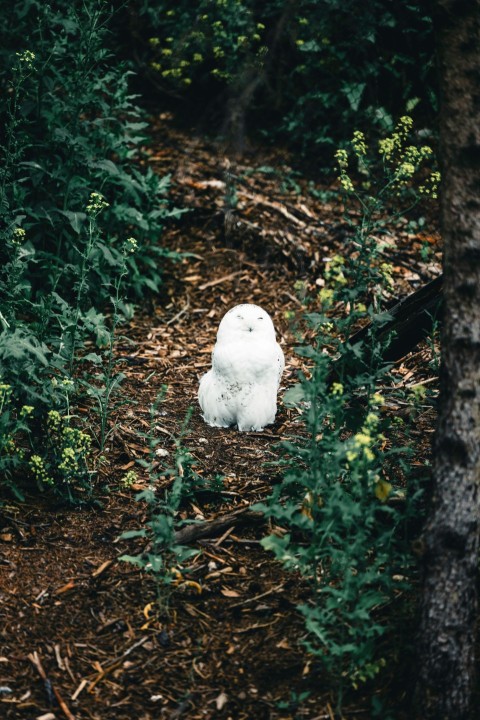 a white teddy bear sitting in the middle of a forest