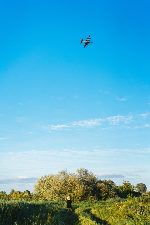 a small plane flying over a lush green field