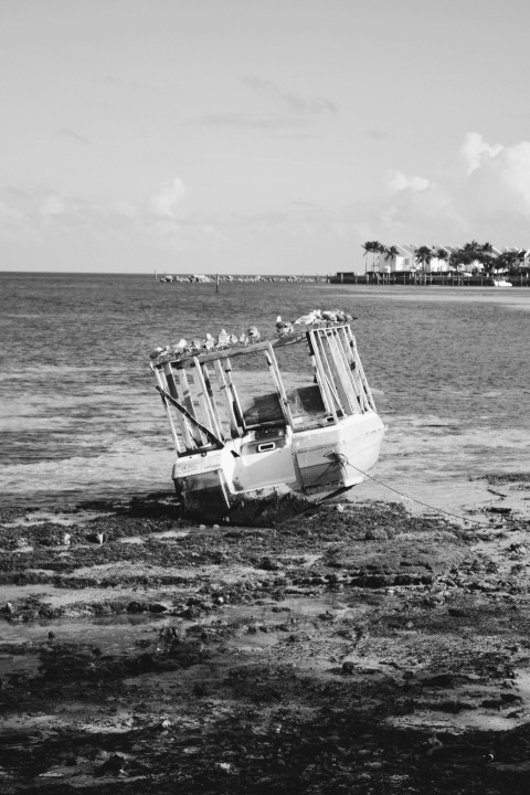 a black and white photo of a boat in the water