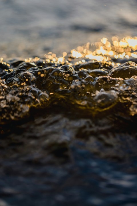 water splash on black rock