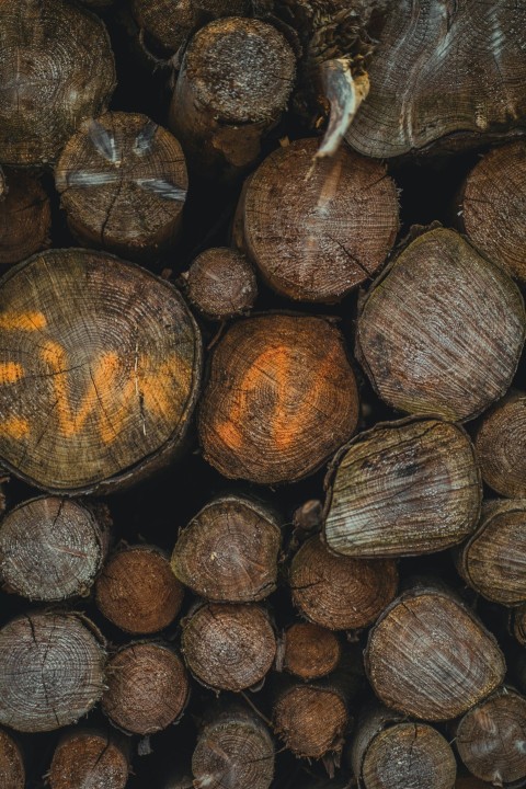 brown and black wood logs