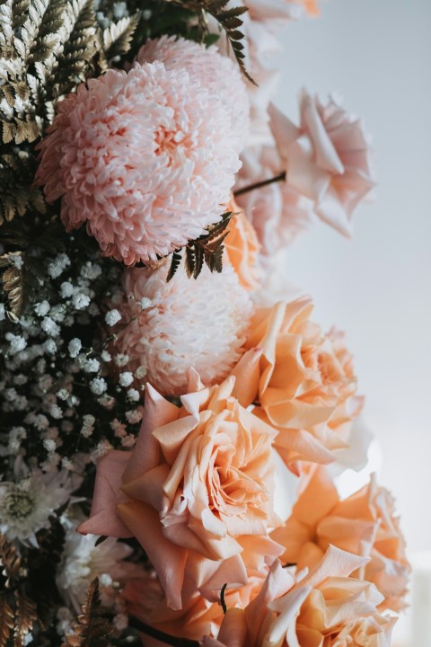 a close up of flowers