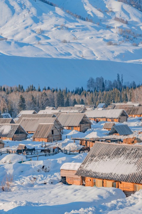 a group of wooden buildings in the snow