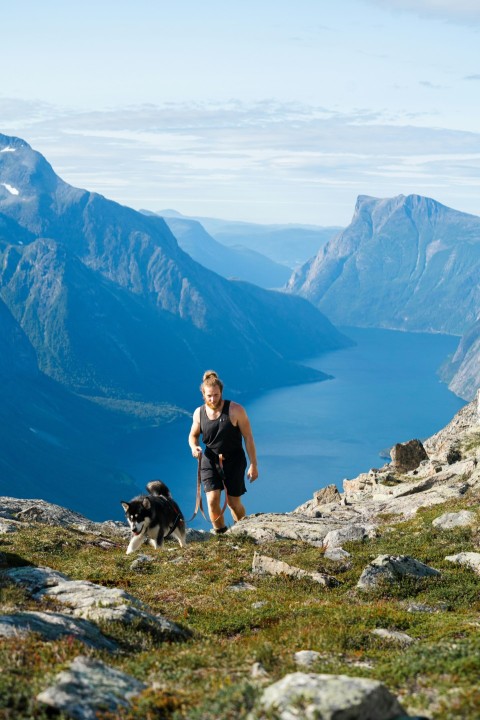 a person and a dog on a mountain top