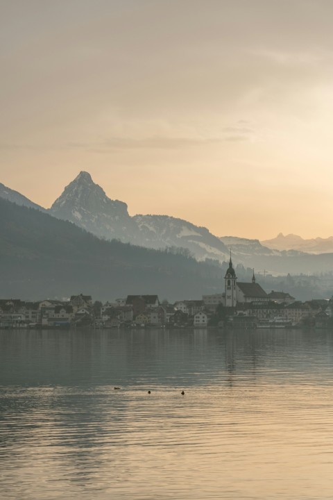 a body of water with a small town in the background